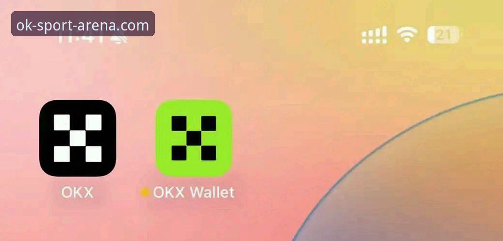 OK体育平台安全安装实用技巧：从下载到注册的完整技术指南